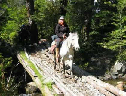 Trailreiten in Chile und Argentinien, schmale Br&uuml;cke im Pitraco Tal